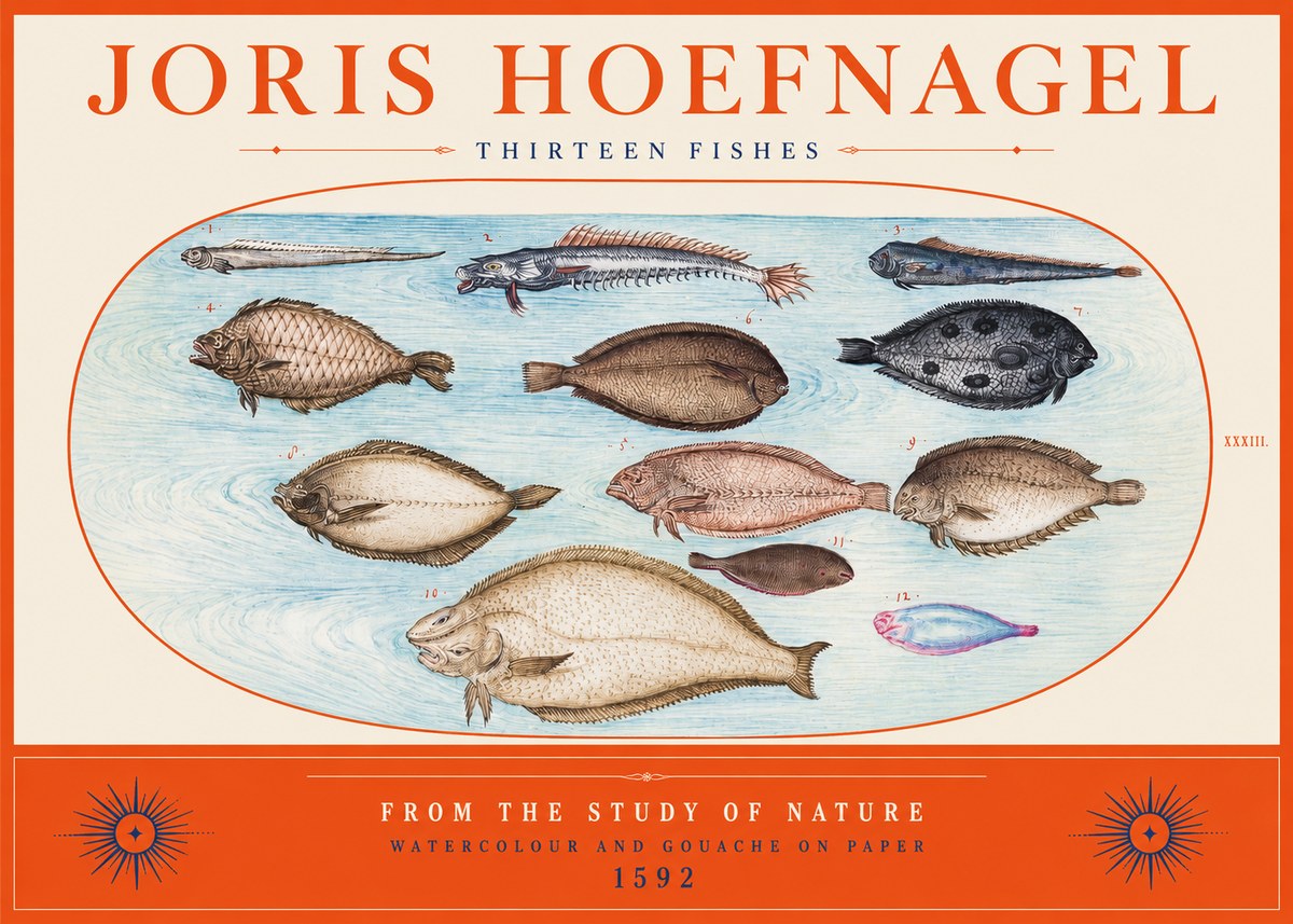 Joris Hoefnagel Thirteen Fishes from the Study of Nature No2 - Plakát