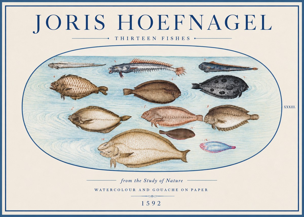 Joris Hoefnagel Thirteen Fishes from the Study of Nature No4 - Plakát