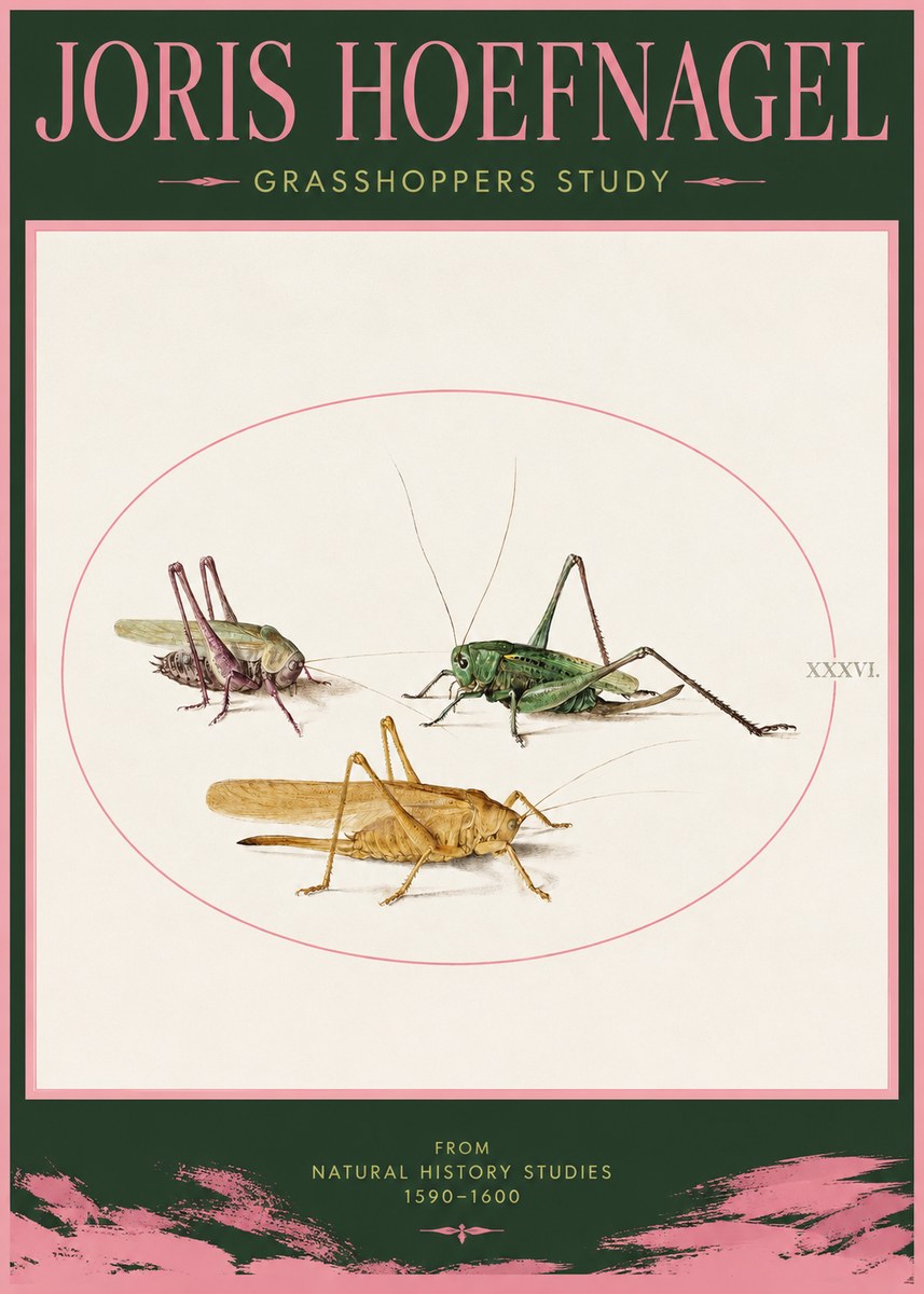 Joris Hoefnagel Grasshoppers Study No2 - Plakát