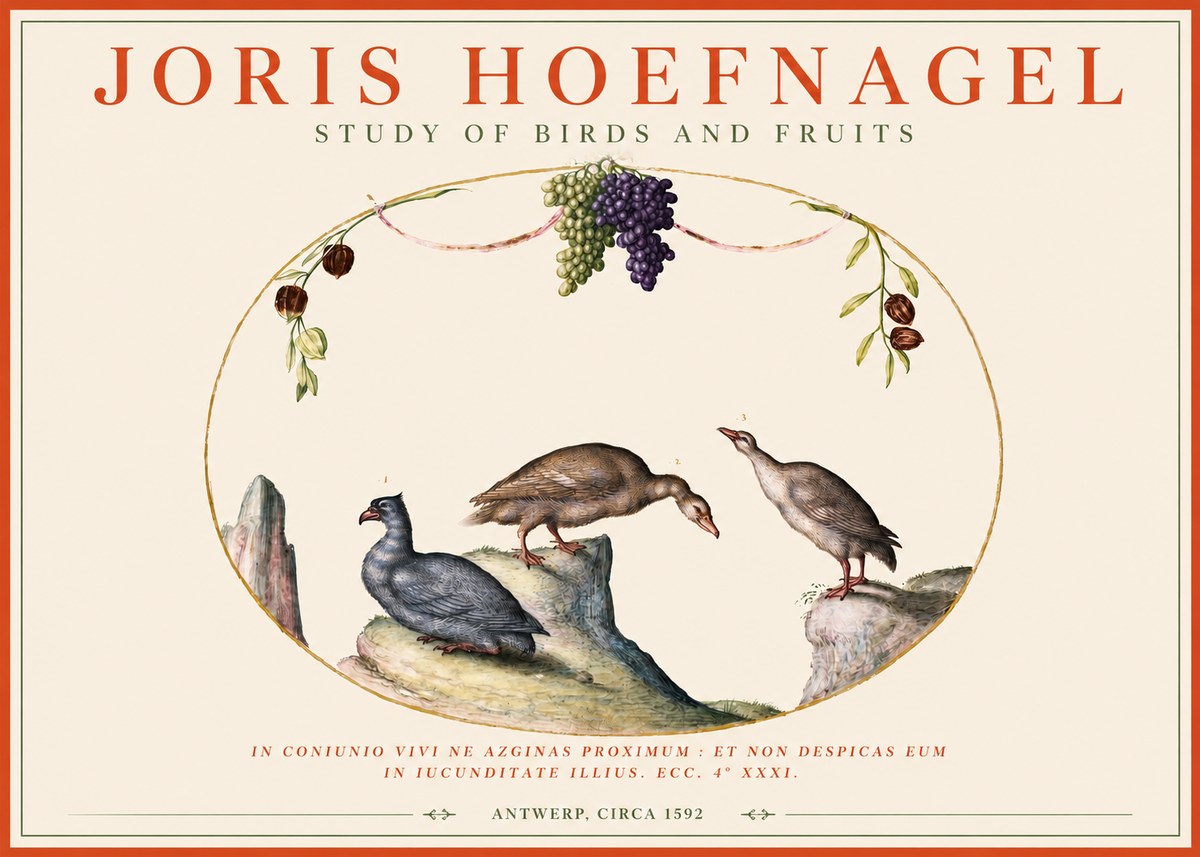 Joris Hoefnagel Three Birds with Grapes and Inscription No4 - Plakát