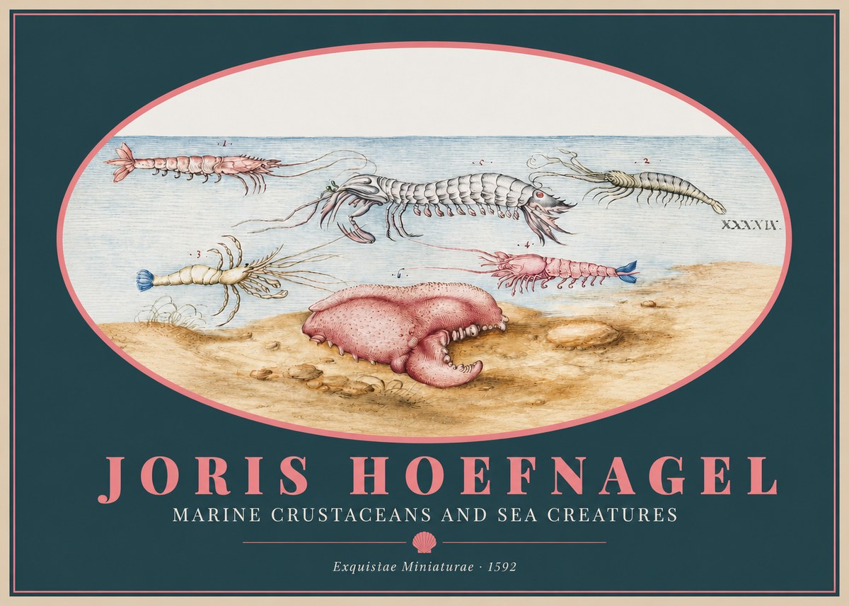 Joris Hoefnagel Marine Crustaceans and Sea Creature No2 - Plakát