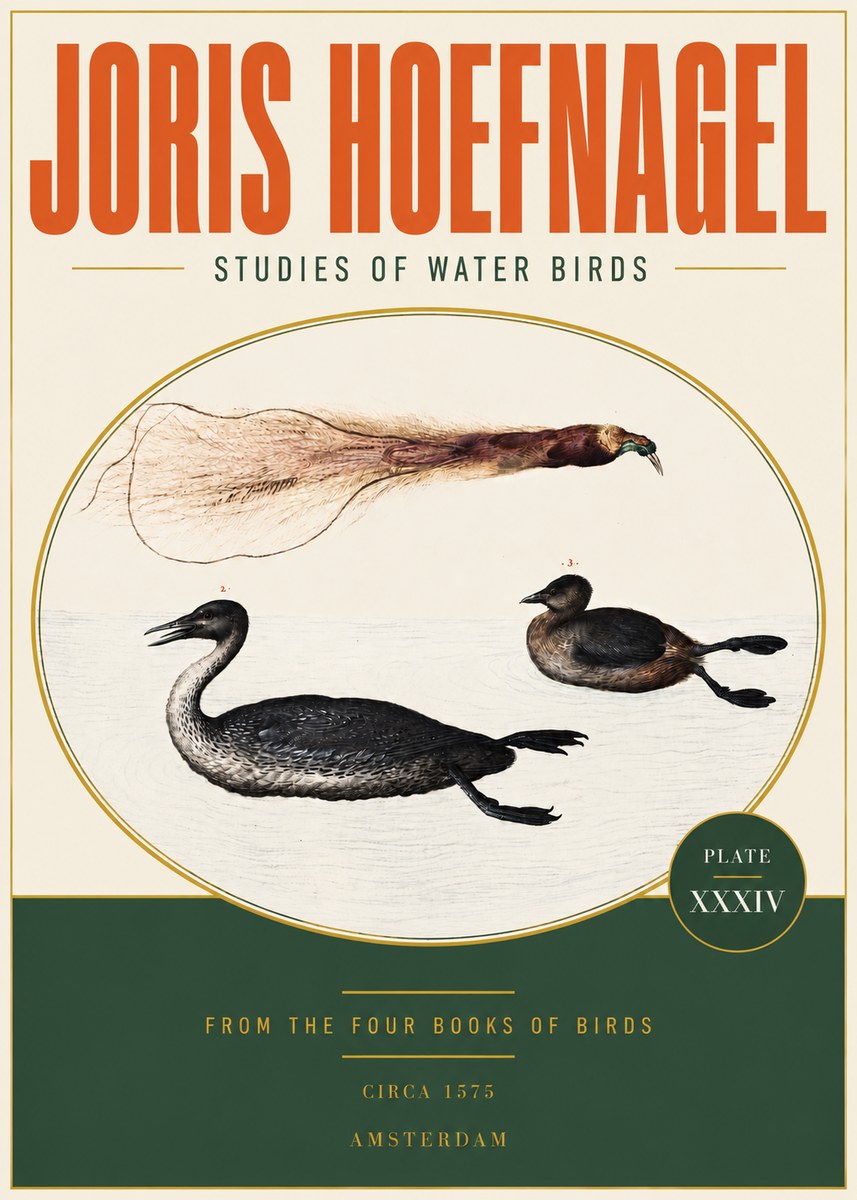Joris Hoefnagel Studies of Water Birds No3 - Plakát