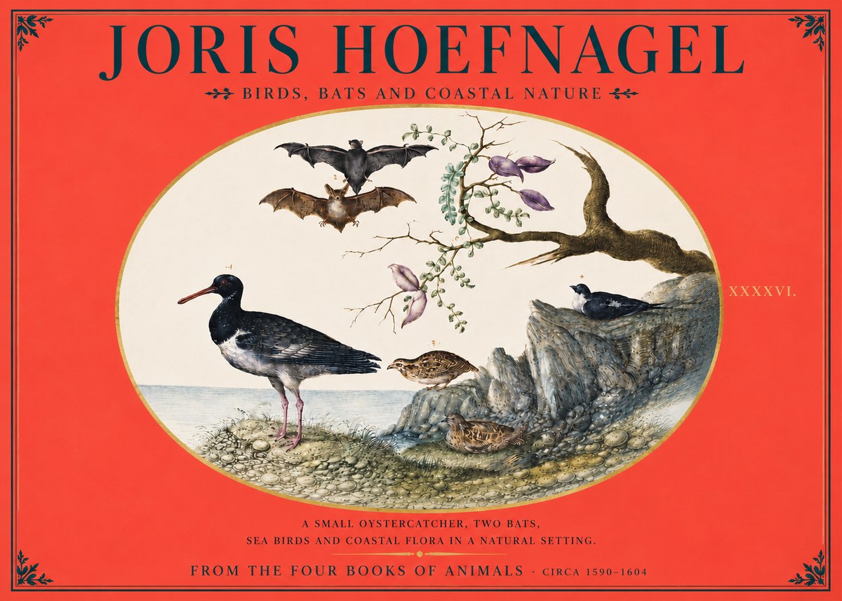 Joris Hoefnagel Birds, Bats and Coastal Nature No4 - Plakát