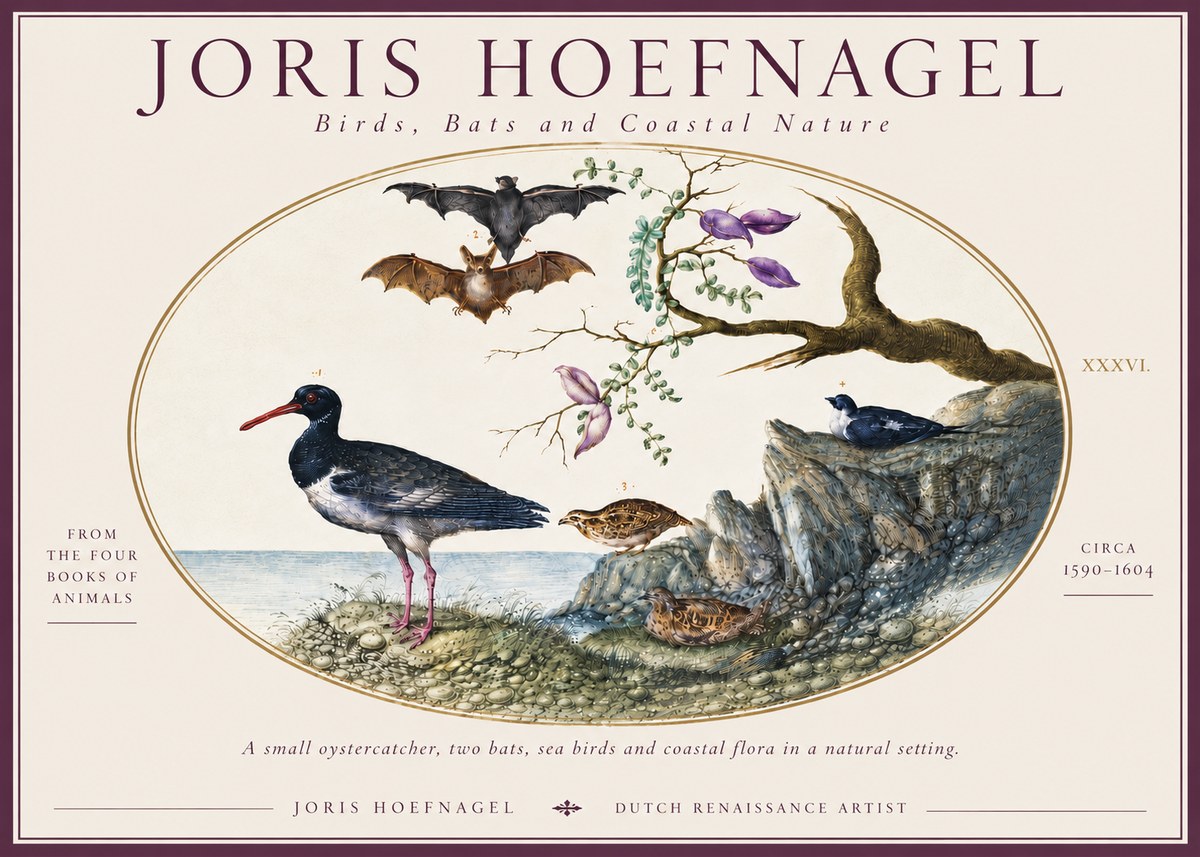 Joris Hoefnagel Birds, Bats and Coastal Nature No6 - Plakát