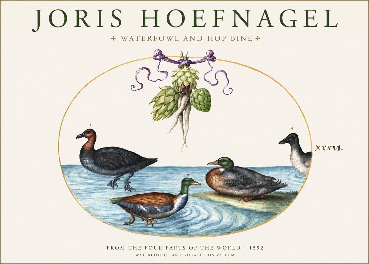 Joris Hoefnagel Waterfowl and Hop Bine No1 - Plakát