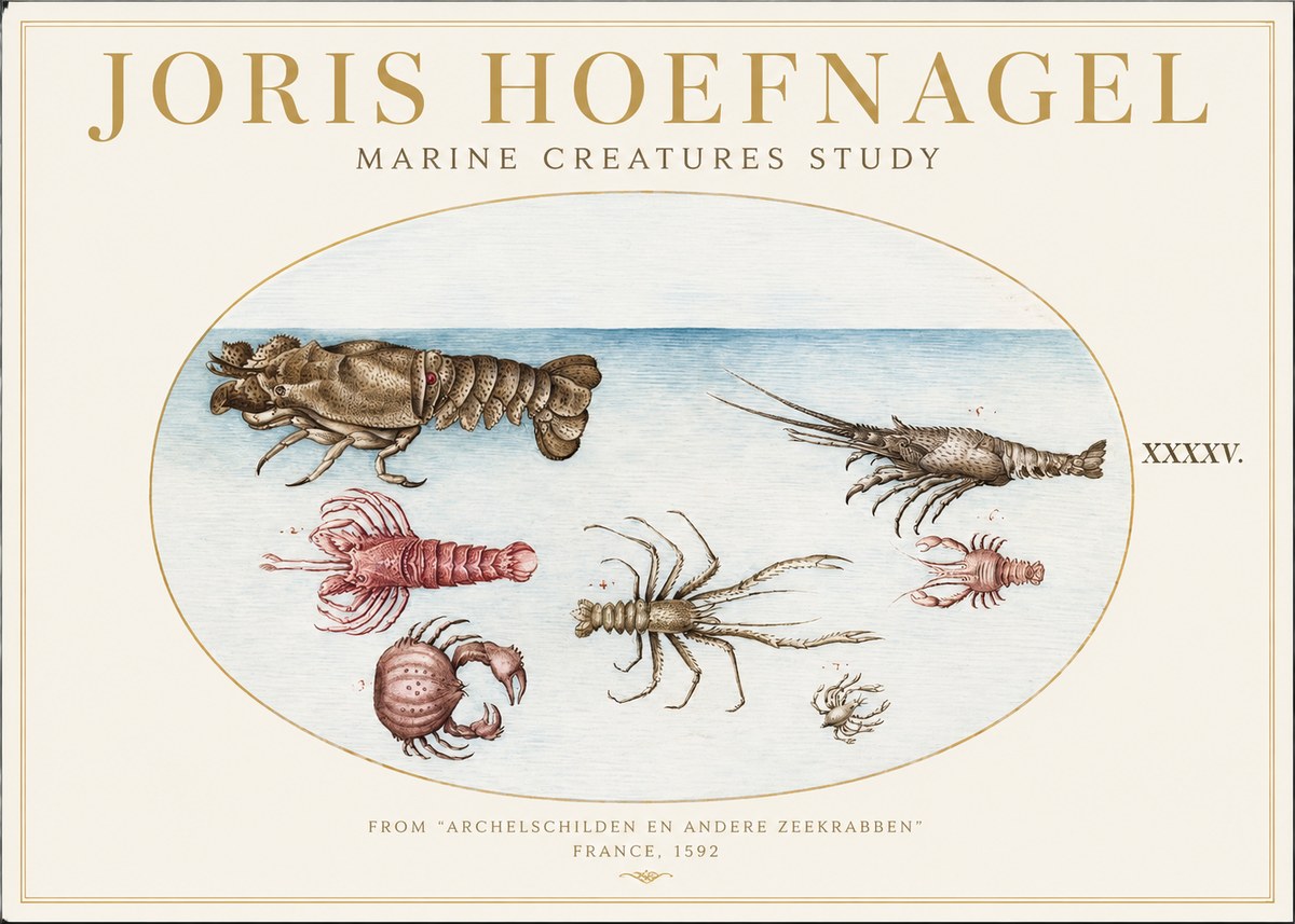 Joris Hoefnagel Studies of Crustaceans No2 - Plakát