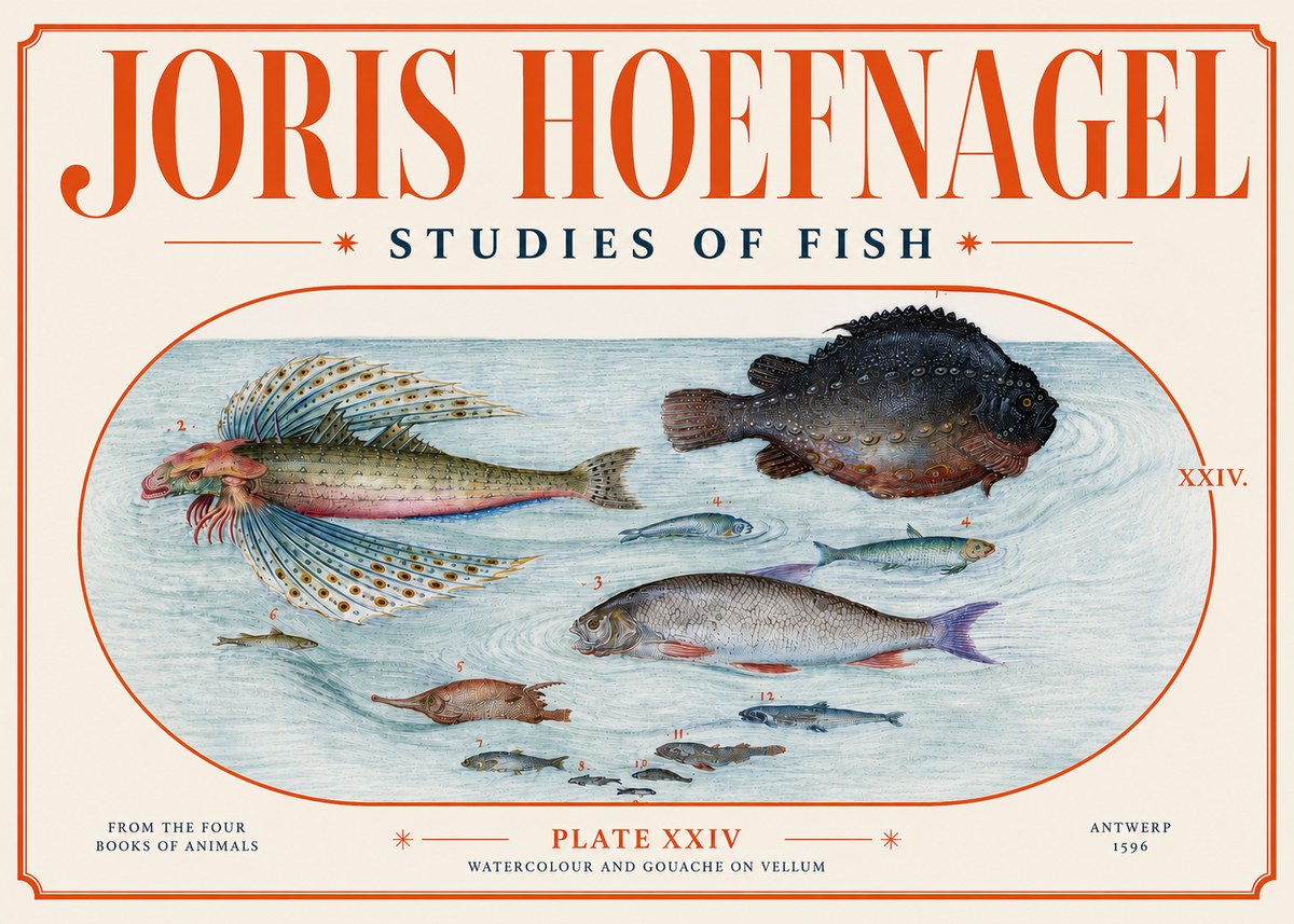 Joris Hoefnagel Studies of Fish II No4 - Plakát
