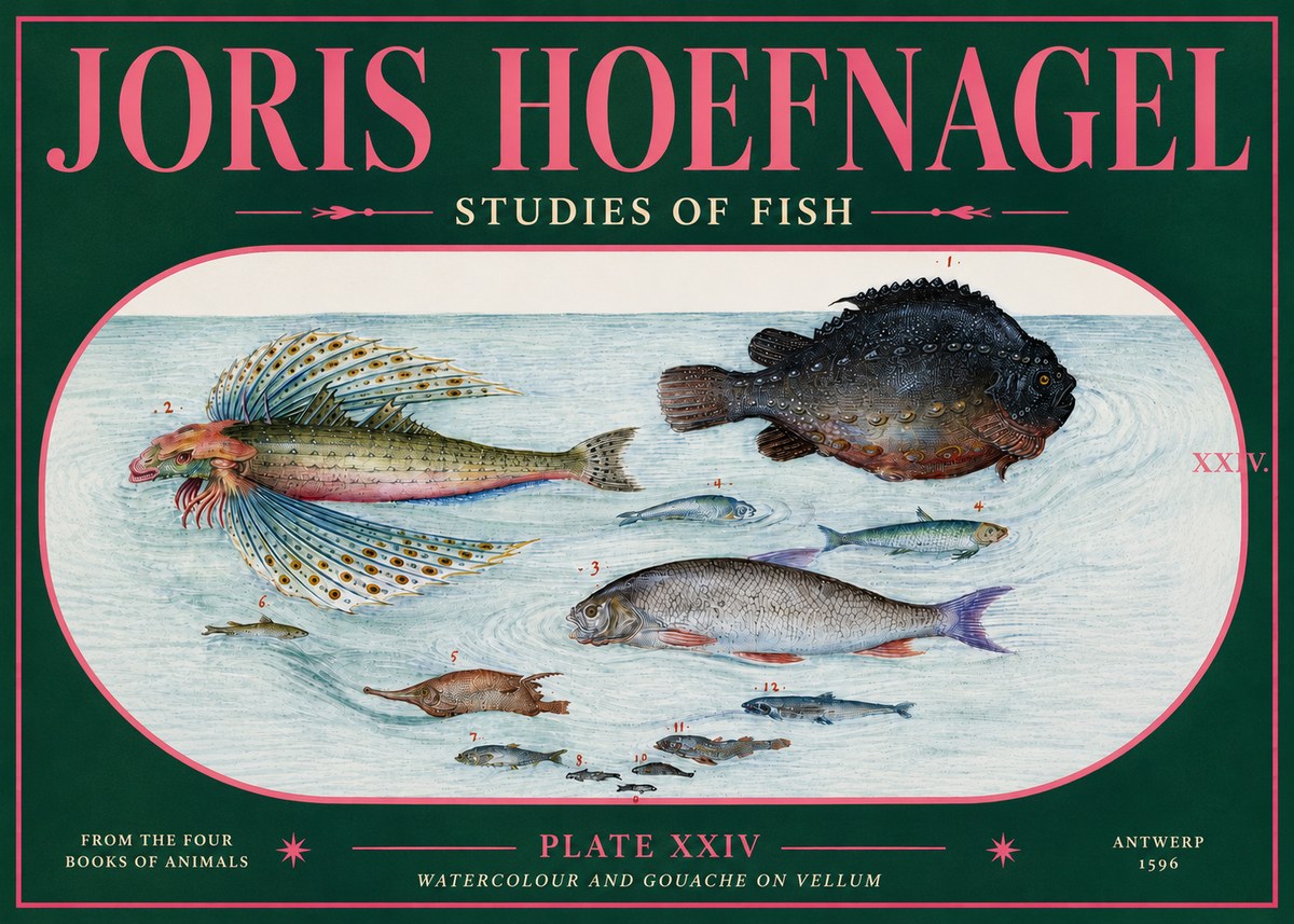 Joris Hoefnagel Studies of Fish II No5 - Plakát
