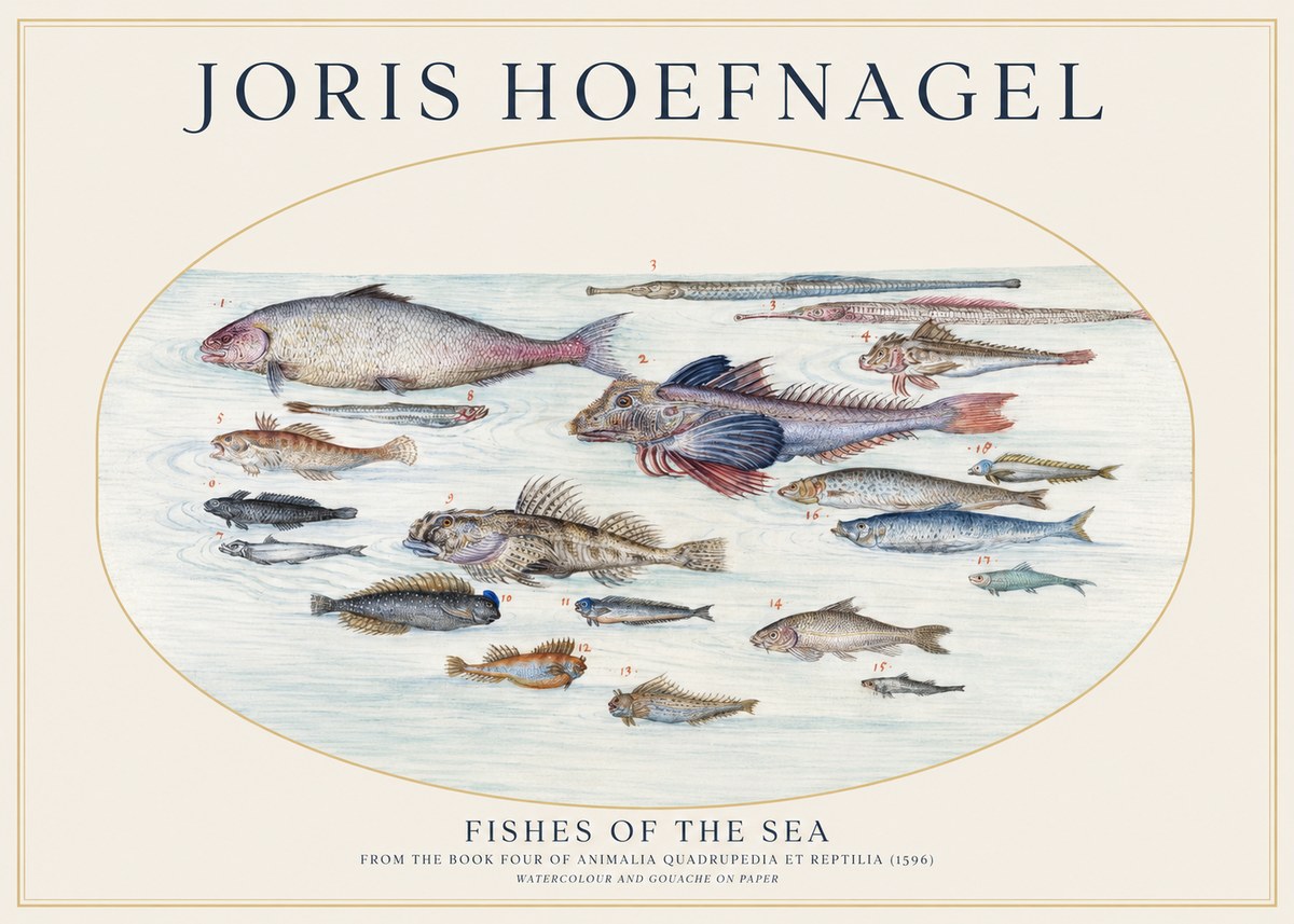 Joris Hoefnagel Fishes of the Sea III No1 - Plakát