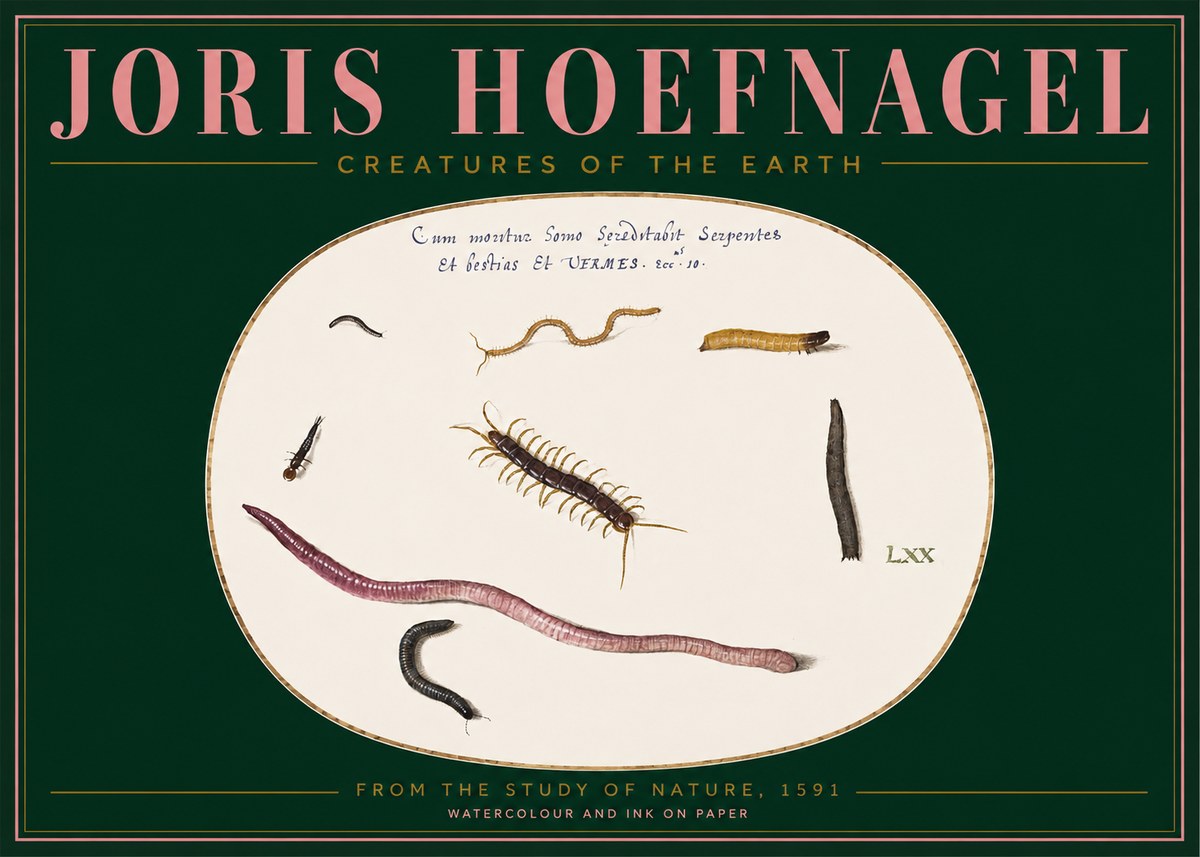 Joris Hoefnagel Creatures of the Earth II No2 - Plakát