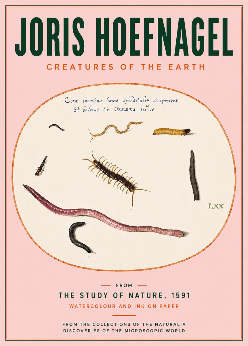 Joris Hoefnagel Creatures of the Earth II No4 - Plakát