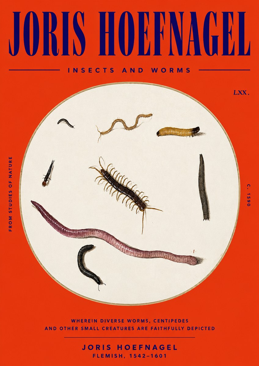 Joris Hoefnagel Creatures of the Earth II No6 - Plakát