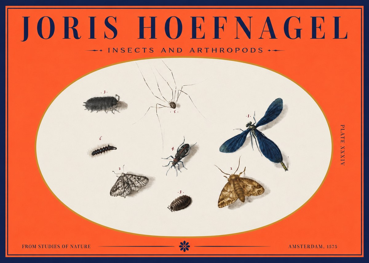 Joris Hoefnagel Insects and Arthropods No3 - Plakát