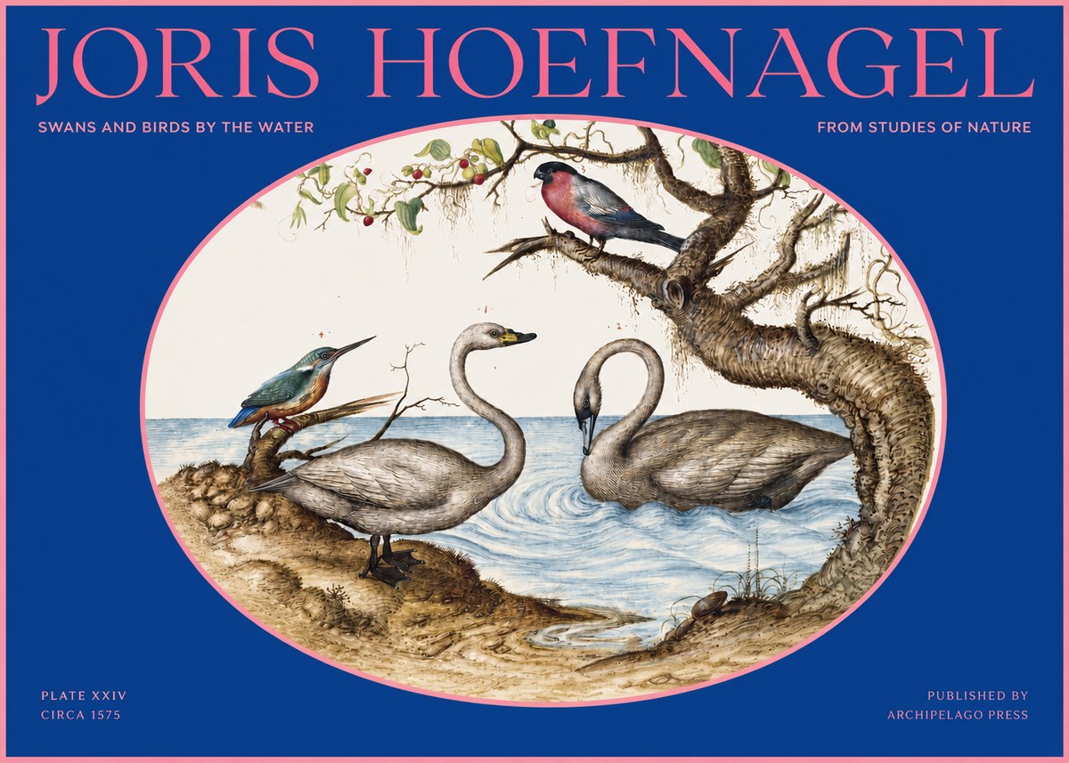Joris Hoefnagel Swans and Birds by the Water No2 - Plakát