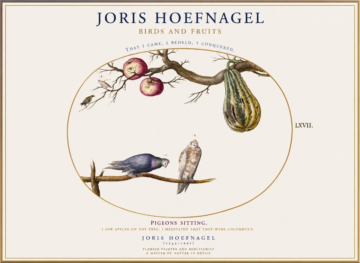 Joris Hoefnagel Pigeons Sitting. No1 - Plakát