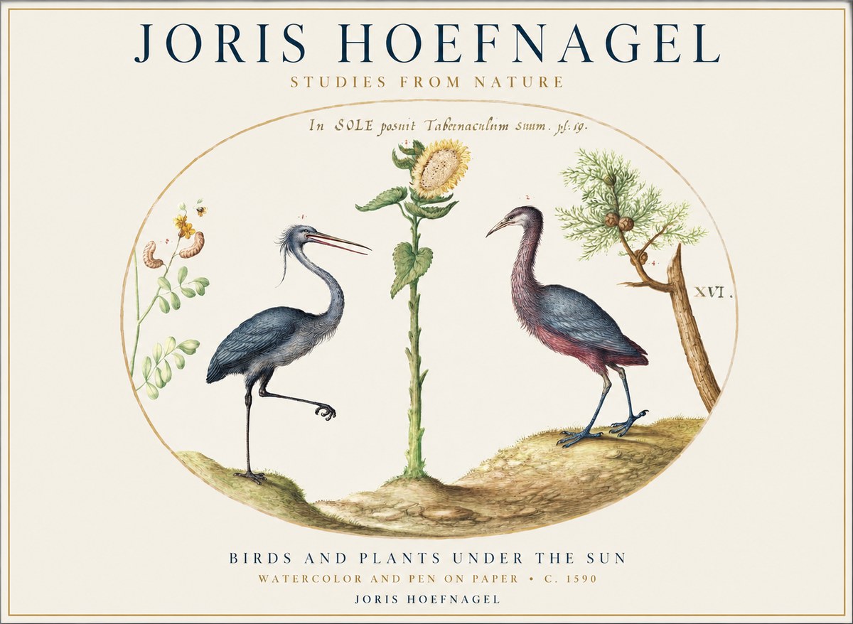 Joris Hoefnagel Birds and Plants Under the Sun No1 - Plakát