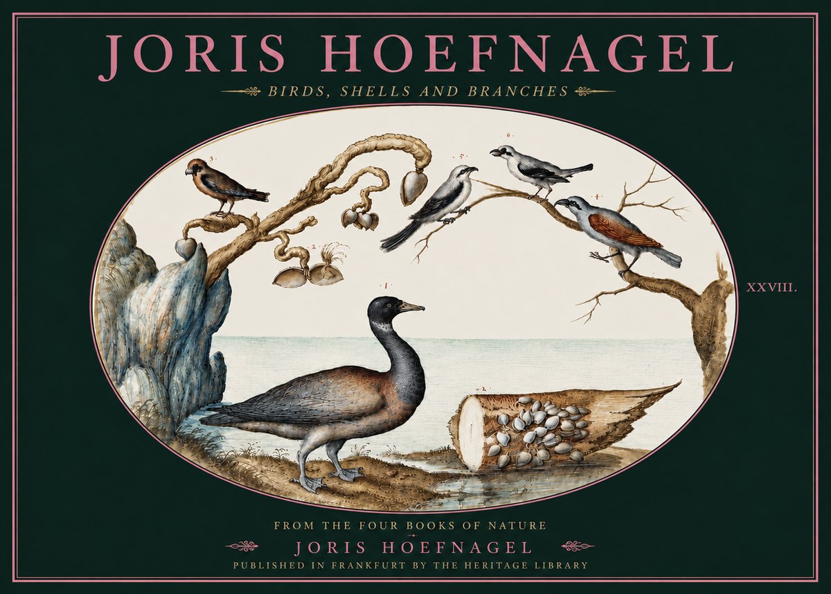 Joris Hoefnagel Birds, Shells and Branches No4 - Plakát