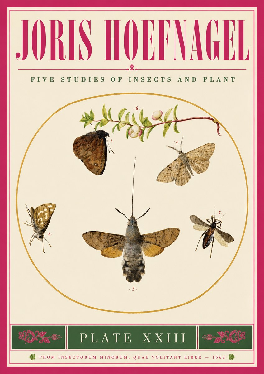 Joris Hoefnagel Five Studies of Insects and Plant No5 - Plakát