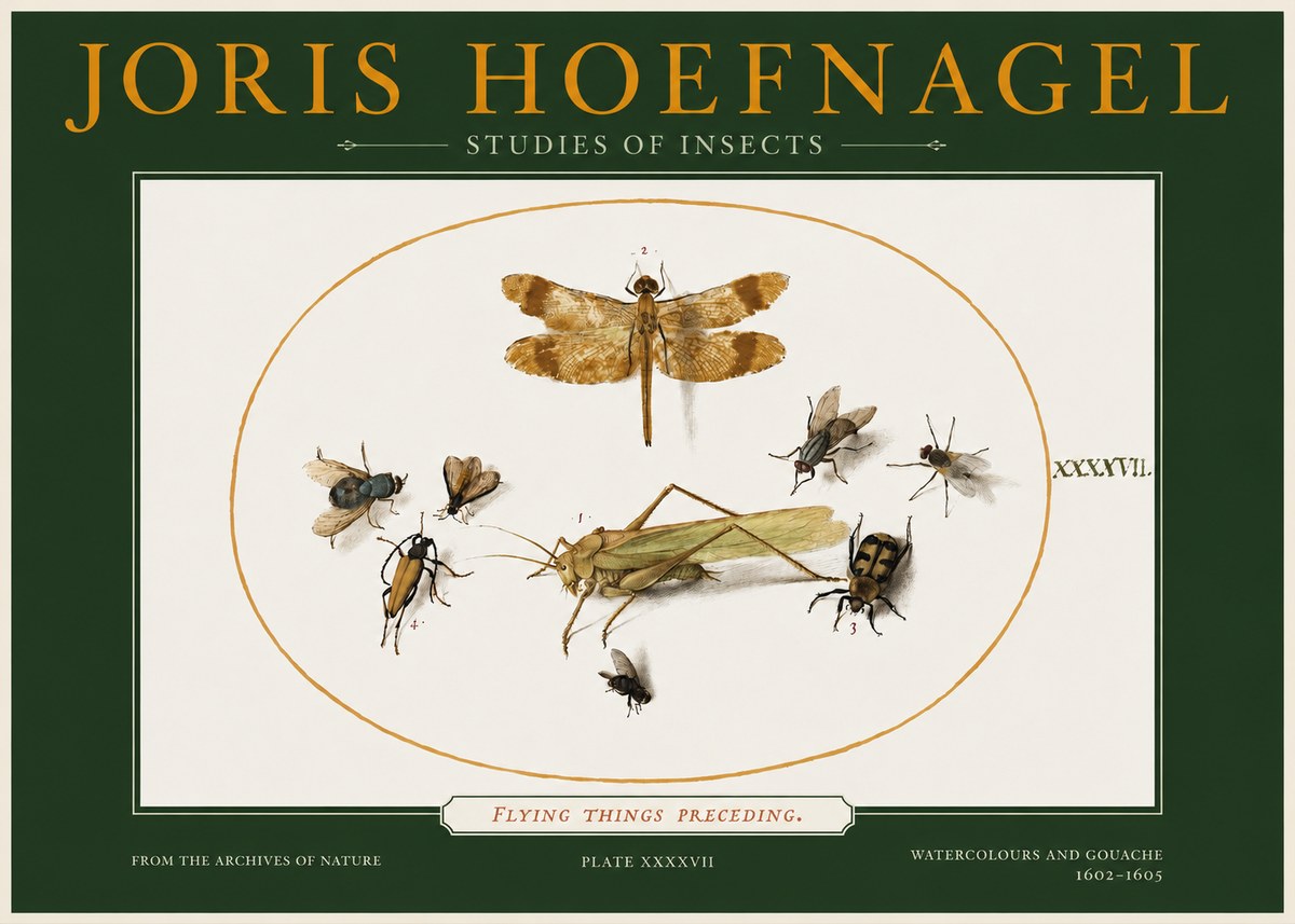 Joris Hoefnagel Flying Things Preceding. No2 - Plakát
