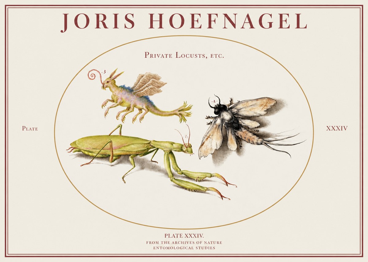 Joris Hoefnagel Privs Locvsta Bovem. No2 - Plakát