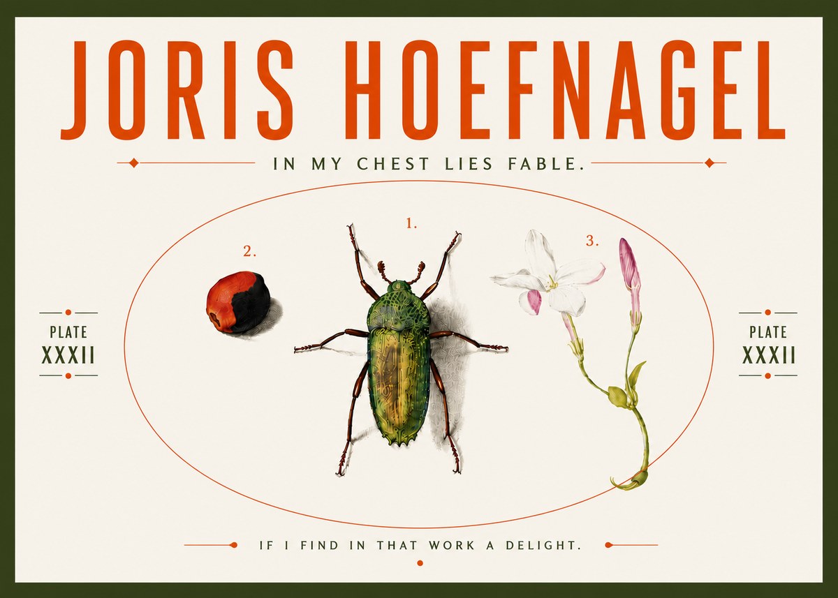 Joris Hoefnagel In My Chest Lies Fable No5 - Plakát