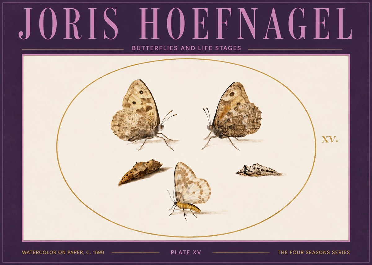 Joris Hoefnagel Butterflies and Life Stages - Plate Xv No4 - Plakát