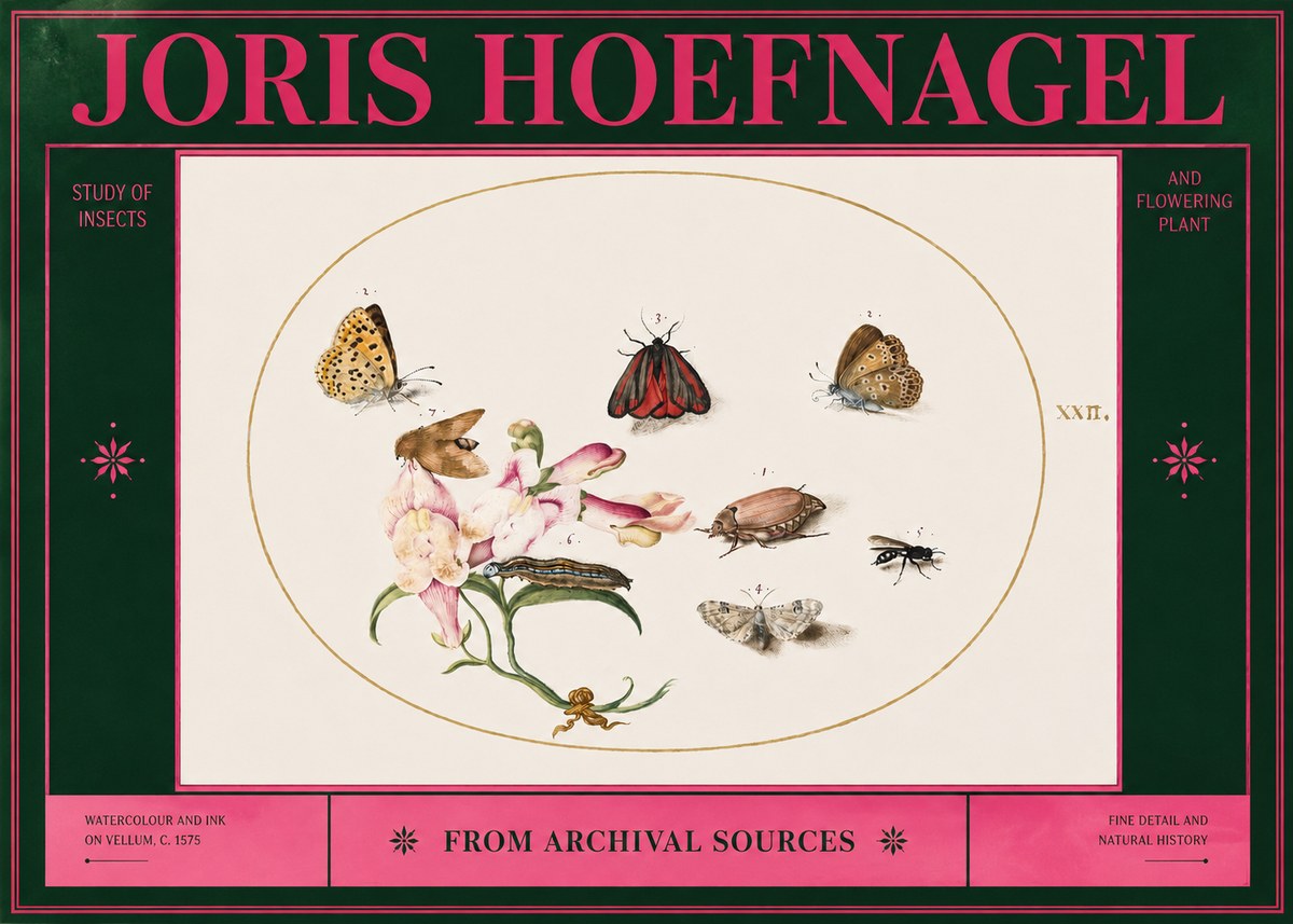 Joris Hoefnagel Study of Insects and Flowering Plant No2 - Plakát