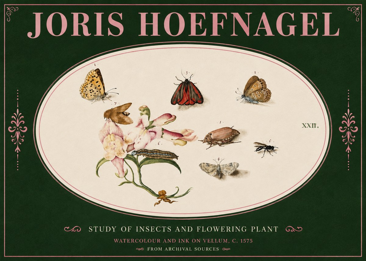 Joris Hoefnagel Study of Insects and Flowering Plant No4 - Plakát
