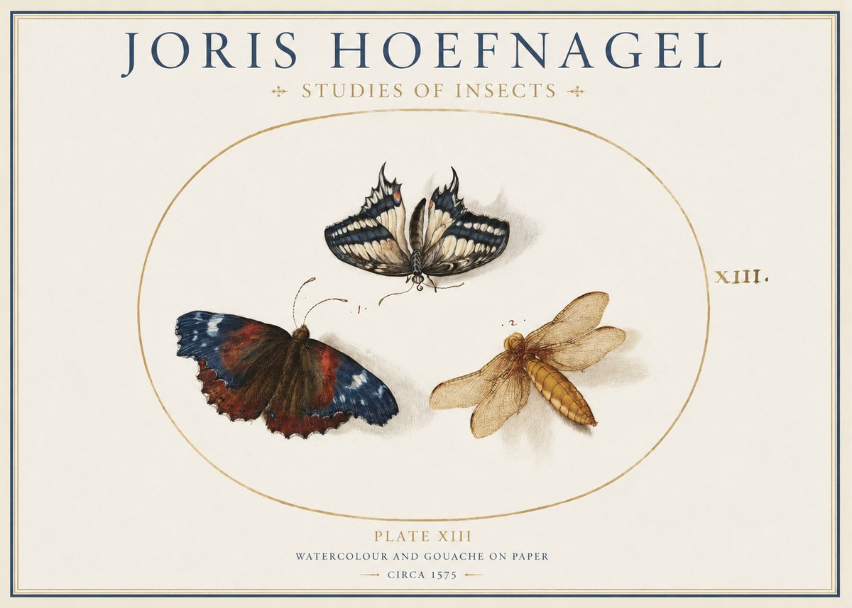 Joris Hoefnagel Studies of Insects - Plate Xiii No1 - Plakát