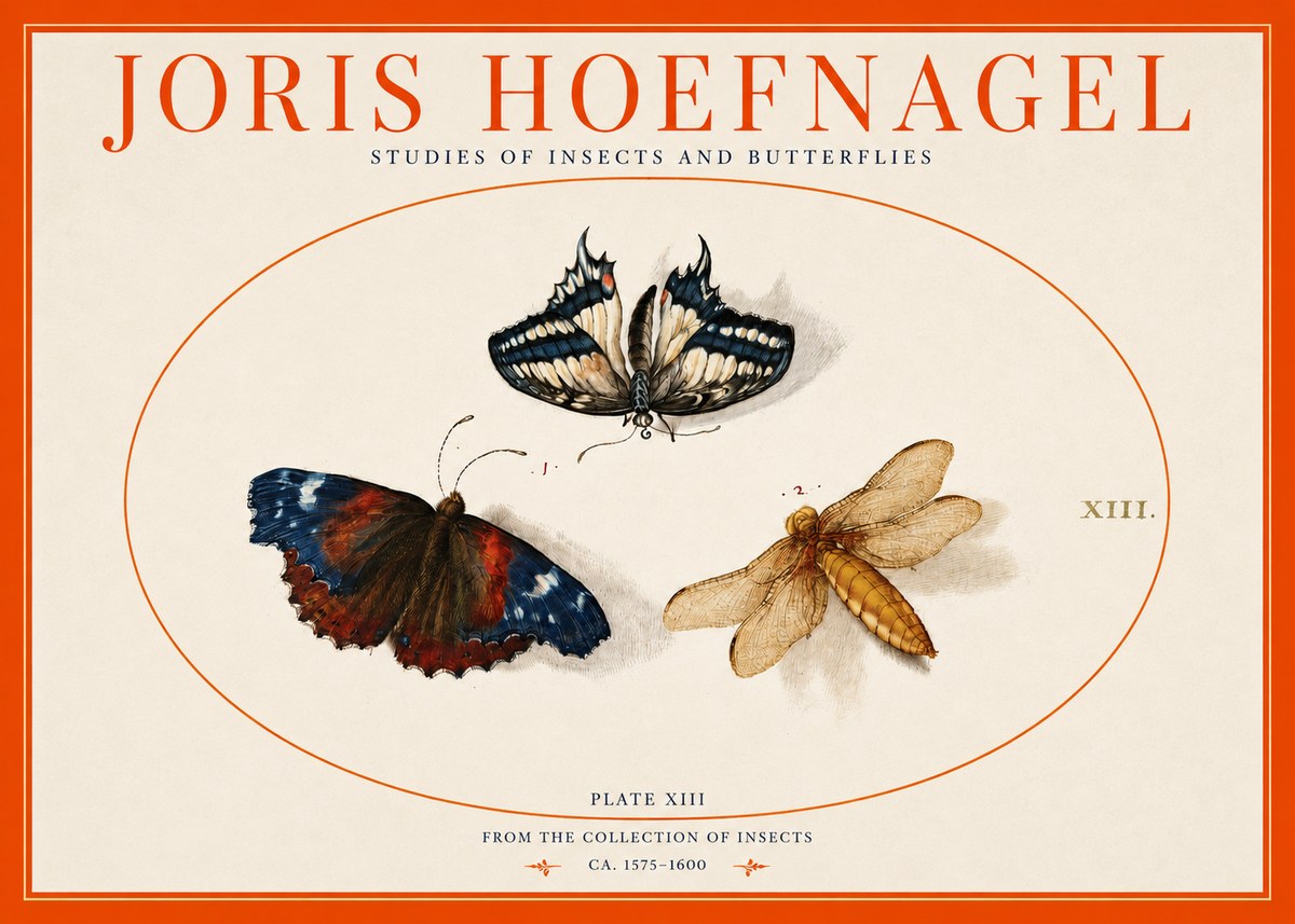 Joris Hoefnagel Studies of Insects - Plate Xiii No3 - Plakát