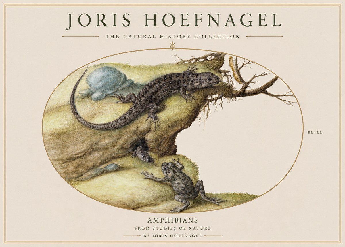 Joris Hoefnagel Amphibians from Studies of Nature No1 - Plakát