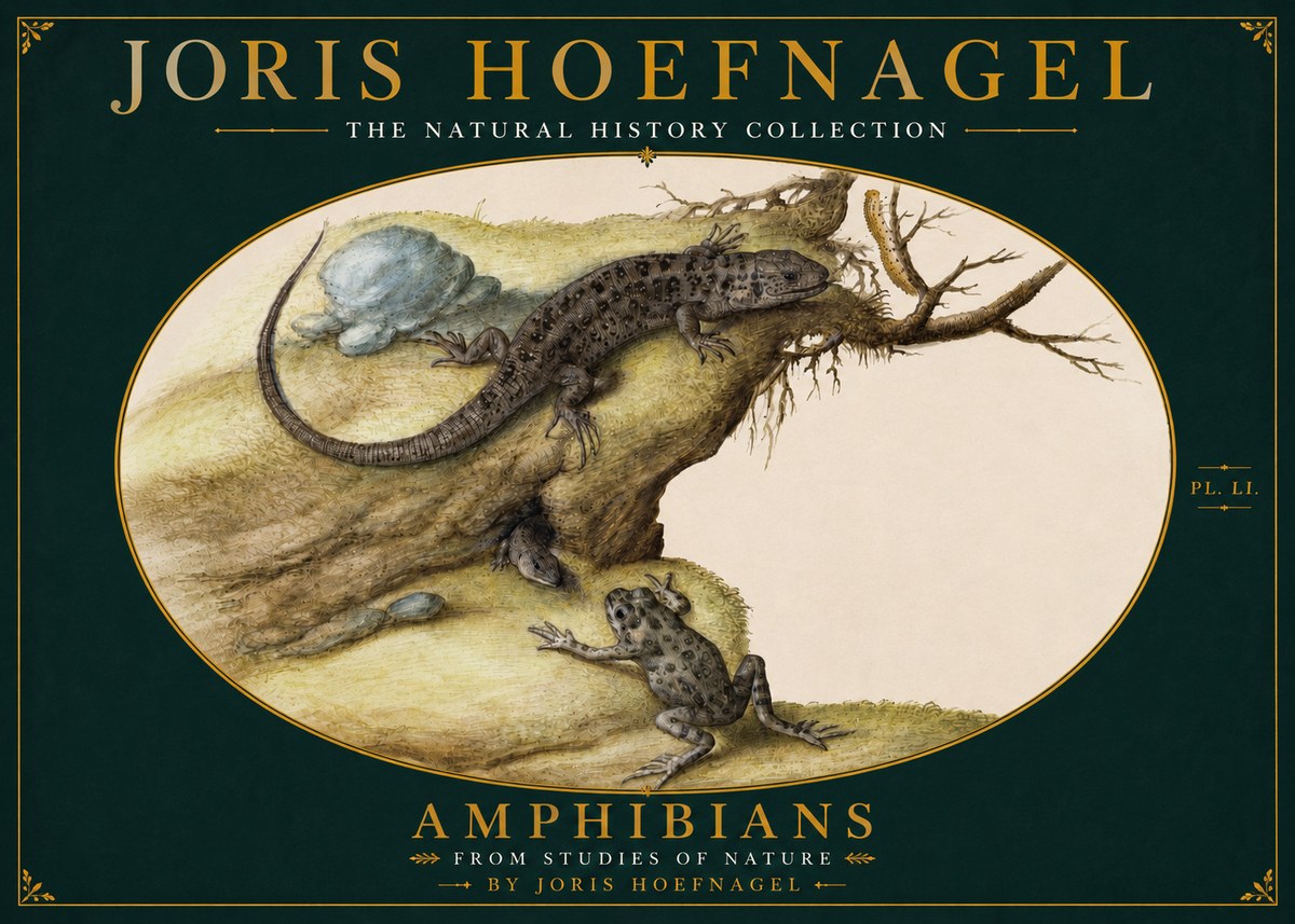 Joris Hoefnagel Amphibians from Studies of Nature No4 - Plakát