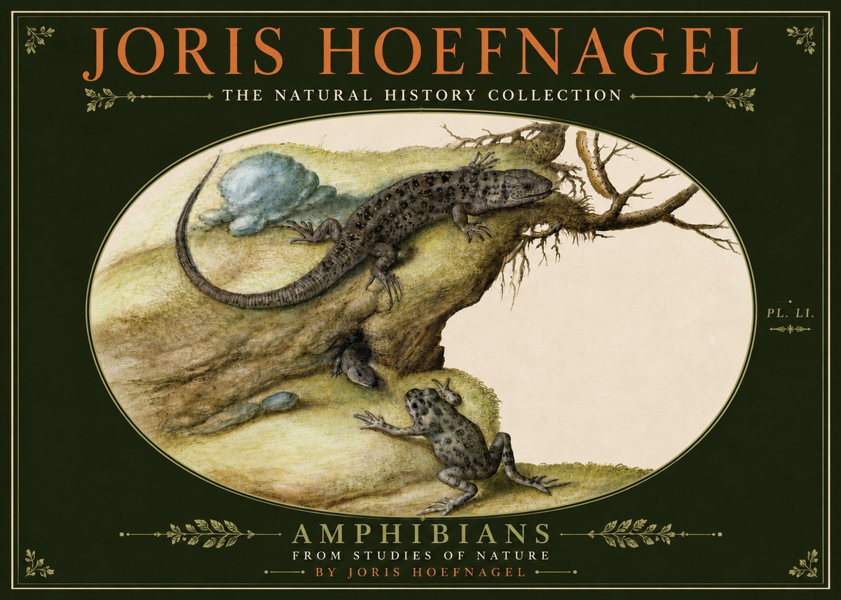 Joris Hoefnagel Amphibians from Studies of Nature No6 - Plakát
