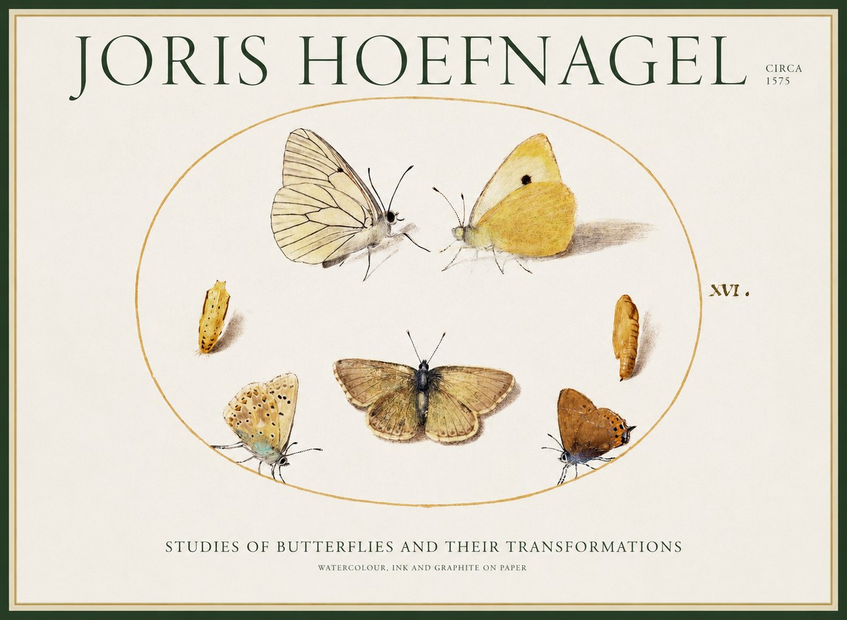 Joris Hoefnagel Studies of Butterflies and Their Transformations No1 - Plakát