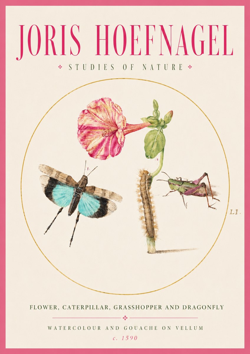 Joris Hoefnagel Plate L1. Studies of Insects and Plants No3 - Plakát