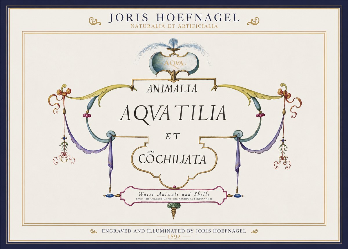 Joris Hoefnagel Animalia Aquatilia Et Cochiliata No1 - Plakát