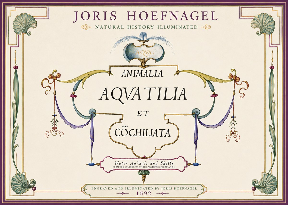 Joris Hoefnagel Animalia Aquatilia Et Cochiliata No4 - Plakát
