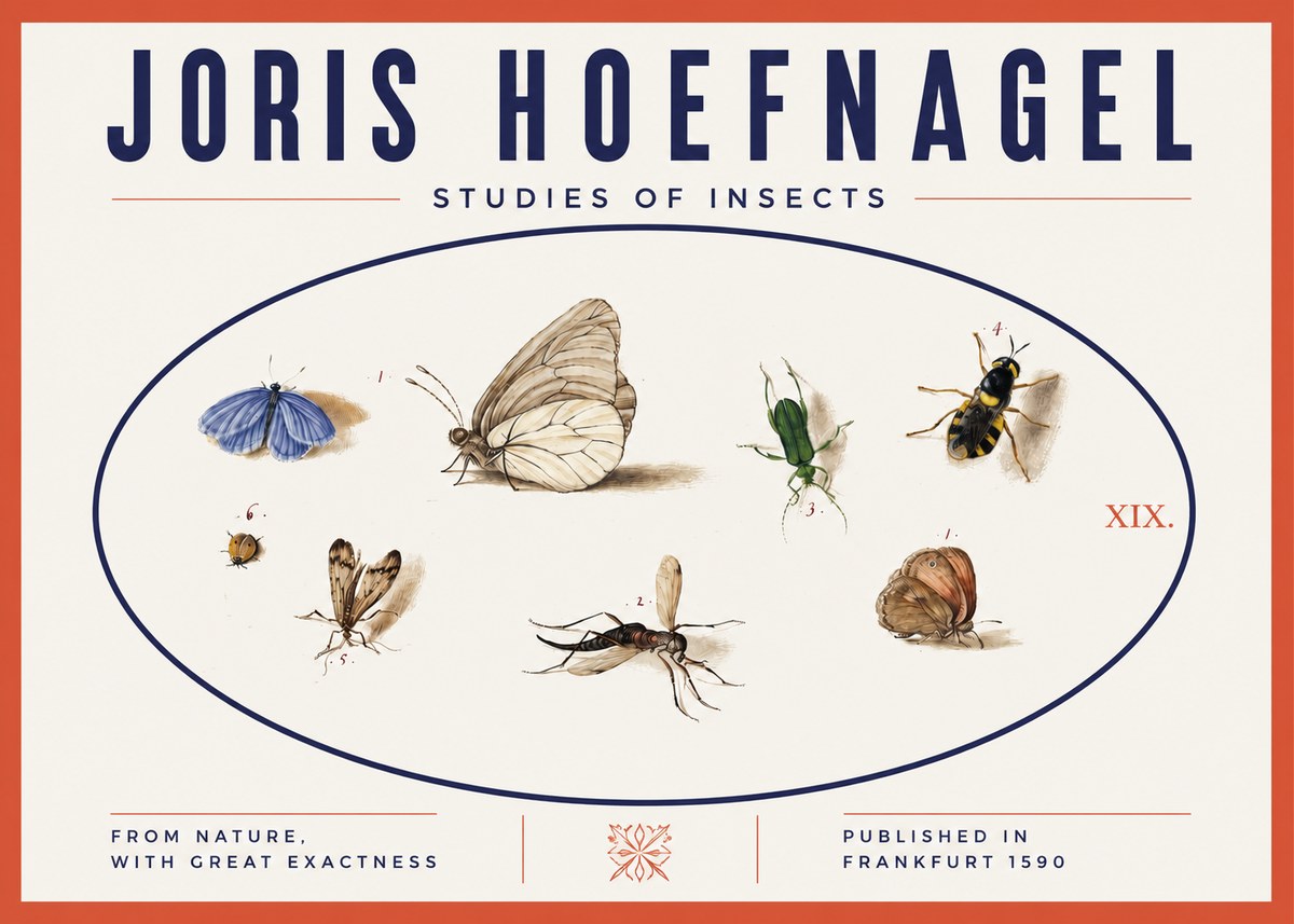 Joris Hoefnagel Studies of Insects V No3 - Plakát