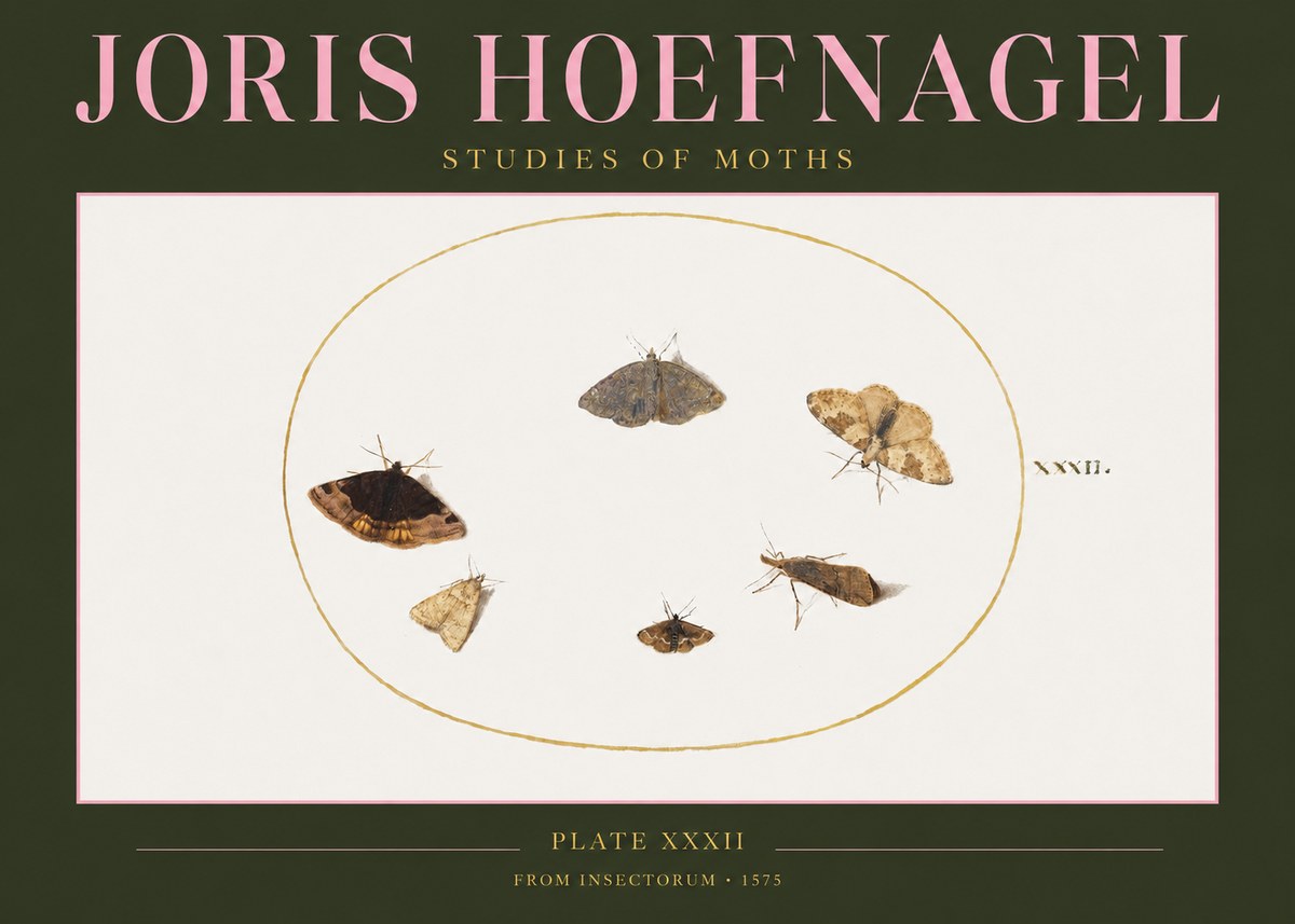 Joris Hoefnagel Studies of Moths III No2 - Plakát