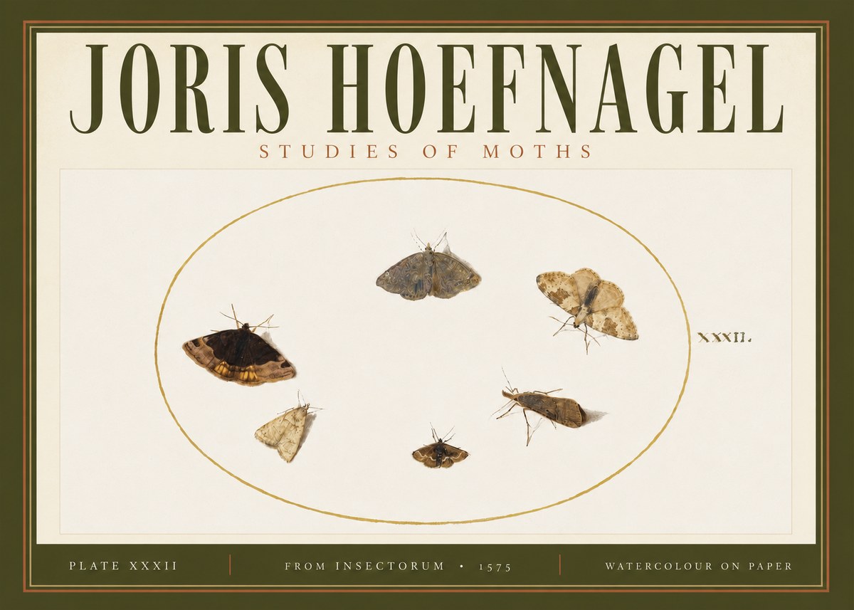 Joris Hoefnagel Studies of Moths III No4 - Plakát