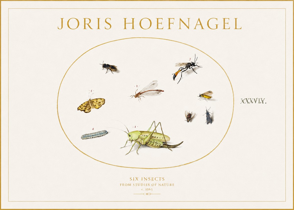 Joris Hoefnagel Six Insects from Studies of Nature C. 1565 No1 - Plakát