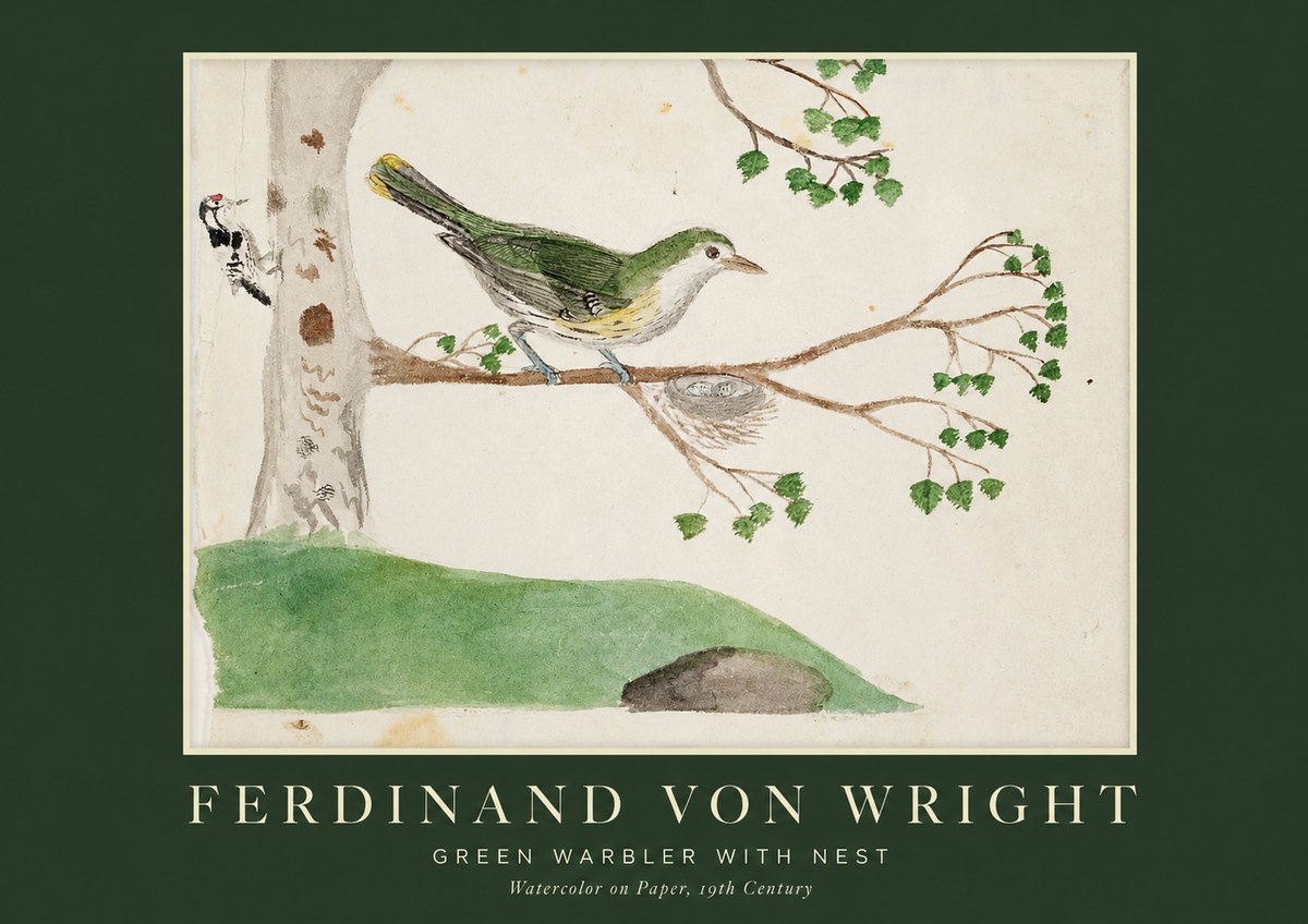 Ferdinand von Wright Green Warbler with Nest No1 - Plakát