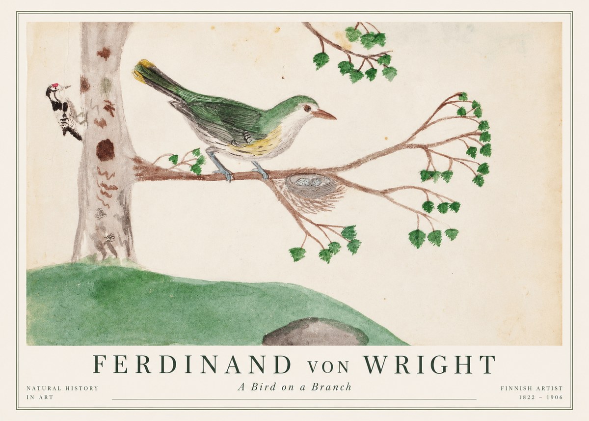 Ferdinand von Wright Green Warbler with Nest No2 - Plakát