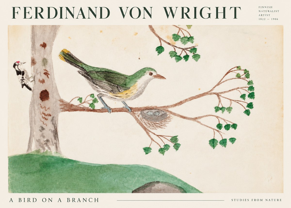Ferdinand von Wright Green Warbler with Nest No3 - Plakát