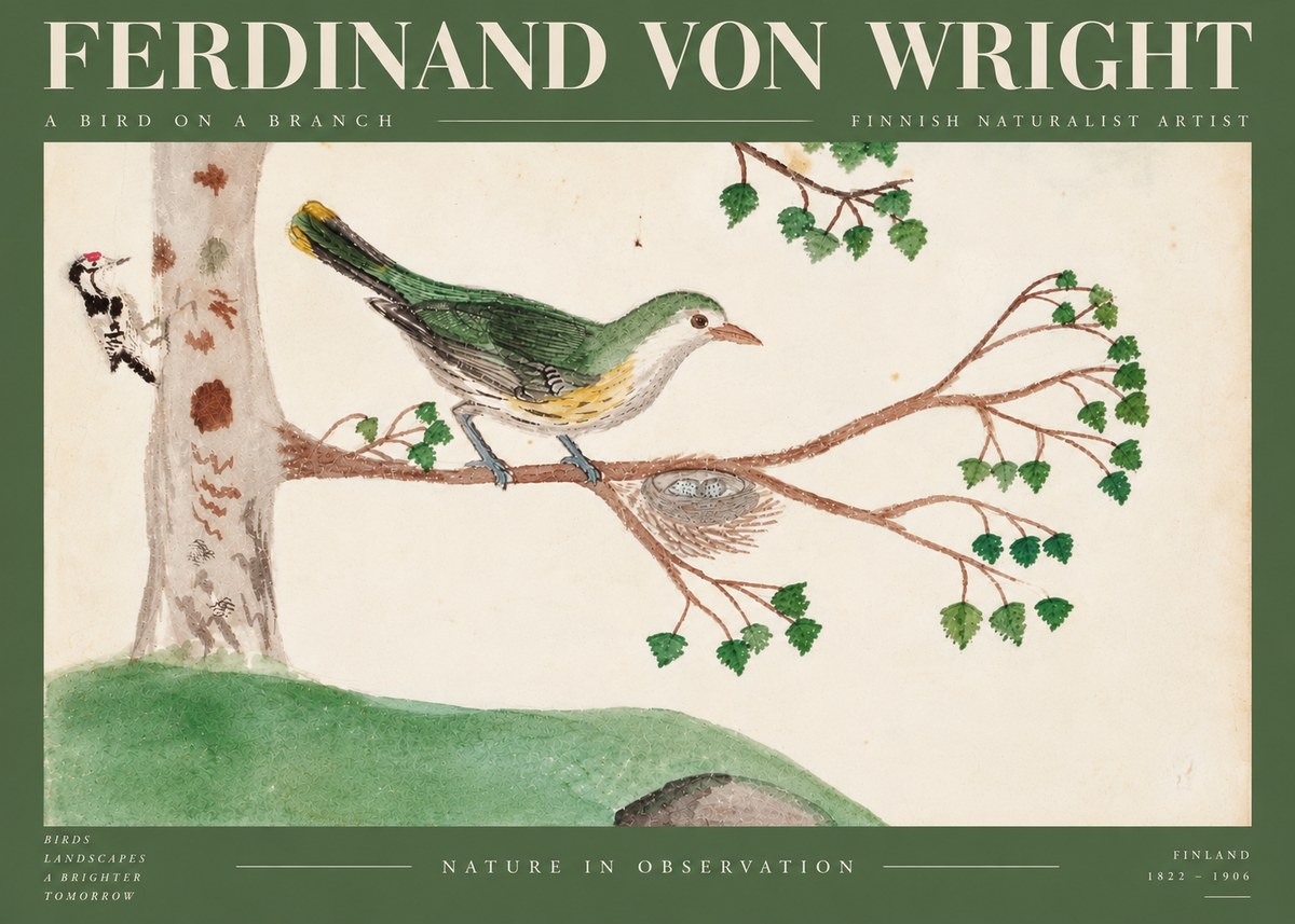 Ferdinand von Wright Green Warbler with Nest No6 - Plakát