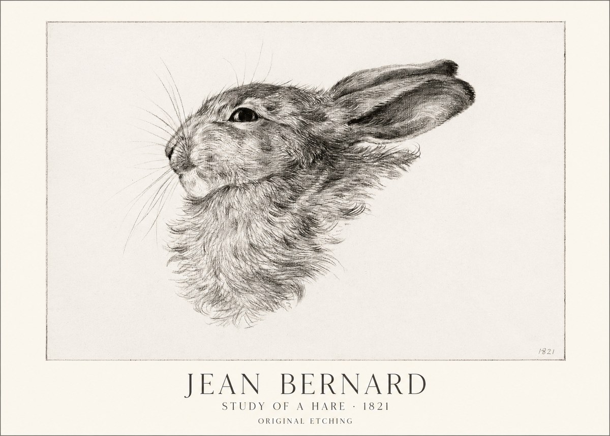 Jean Bernard Study of a Hare No1 - Plakát