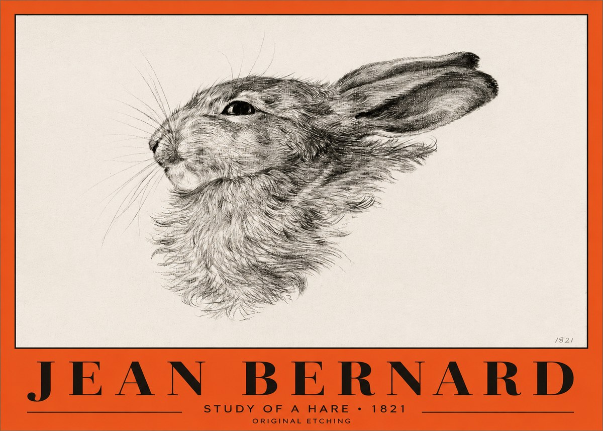 Jean Bernard Study of a Hare No2 - Plakát