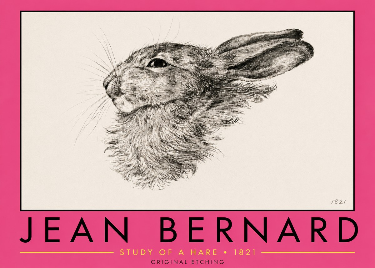 Jean Bernard Study of a Hare No5 - Plakát