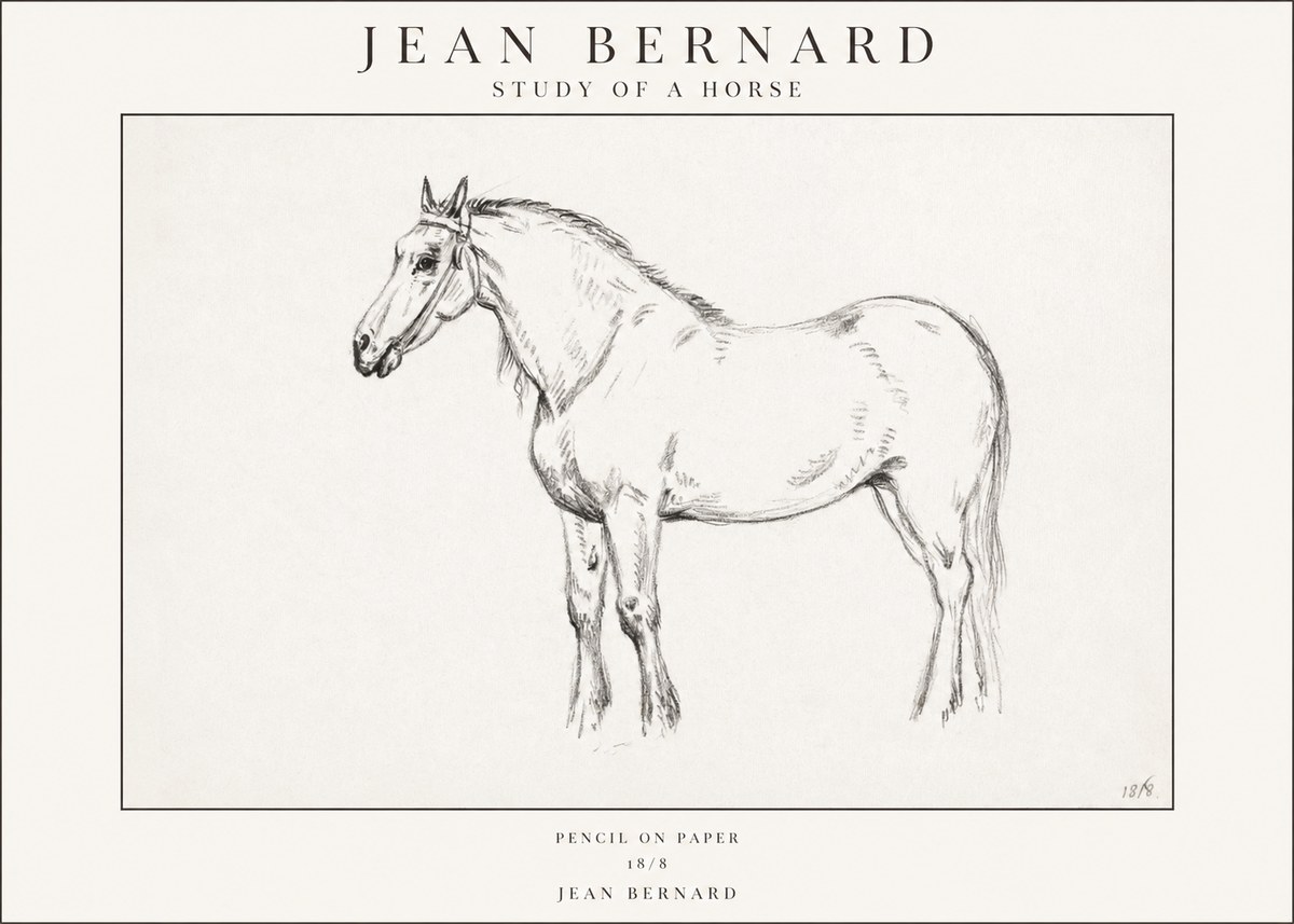 Jean Bernard Study of a Horse XVII No1 - Plakát