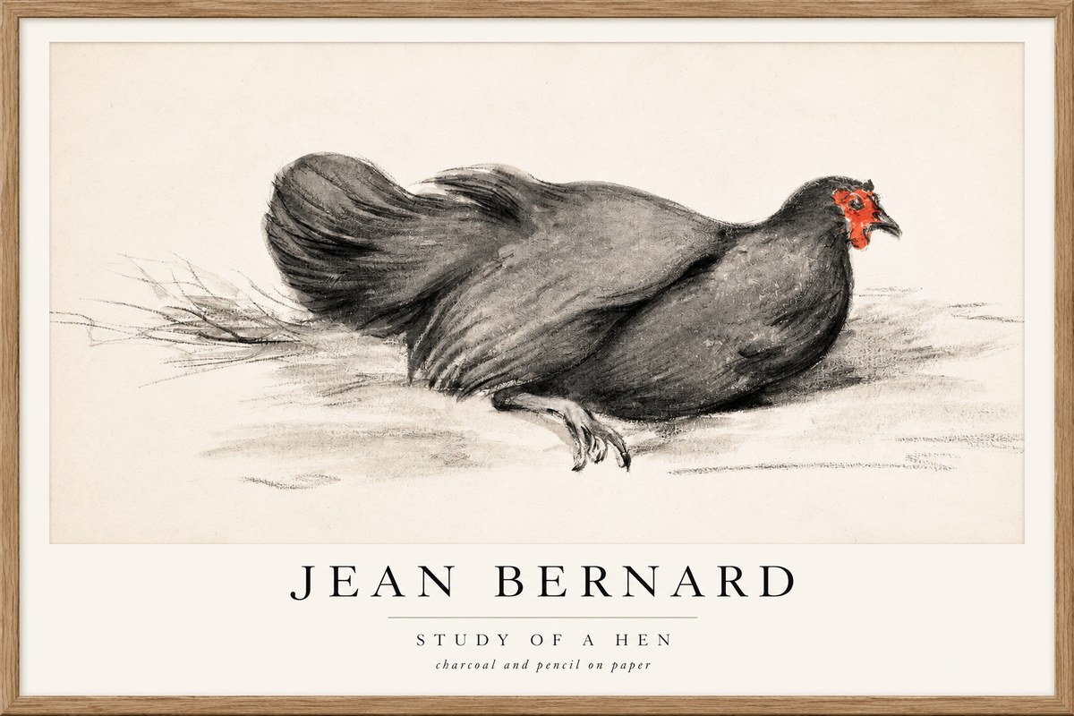 Jean Bernard Study of a Hen No1 - Plakát